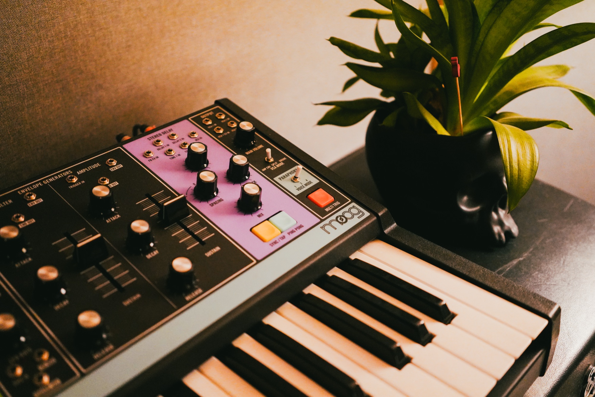 Brand photography Switzerland — commercial character shot