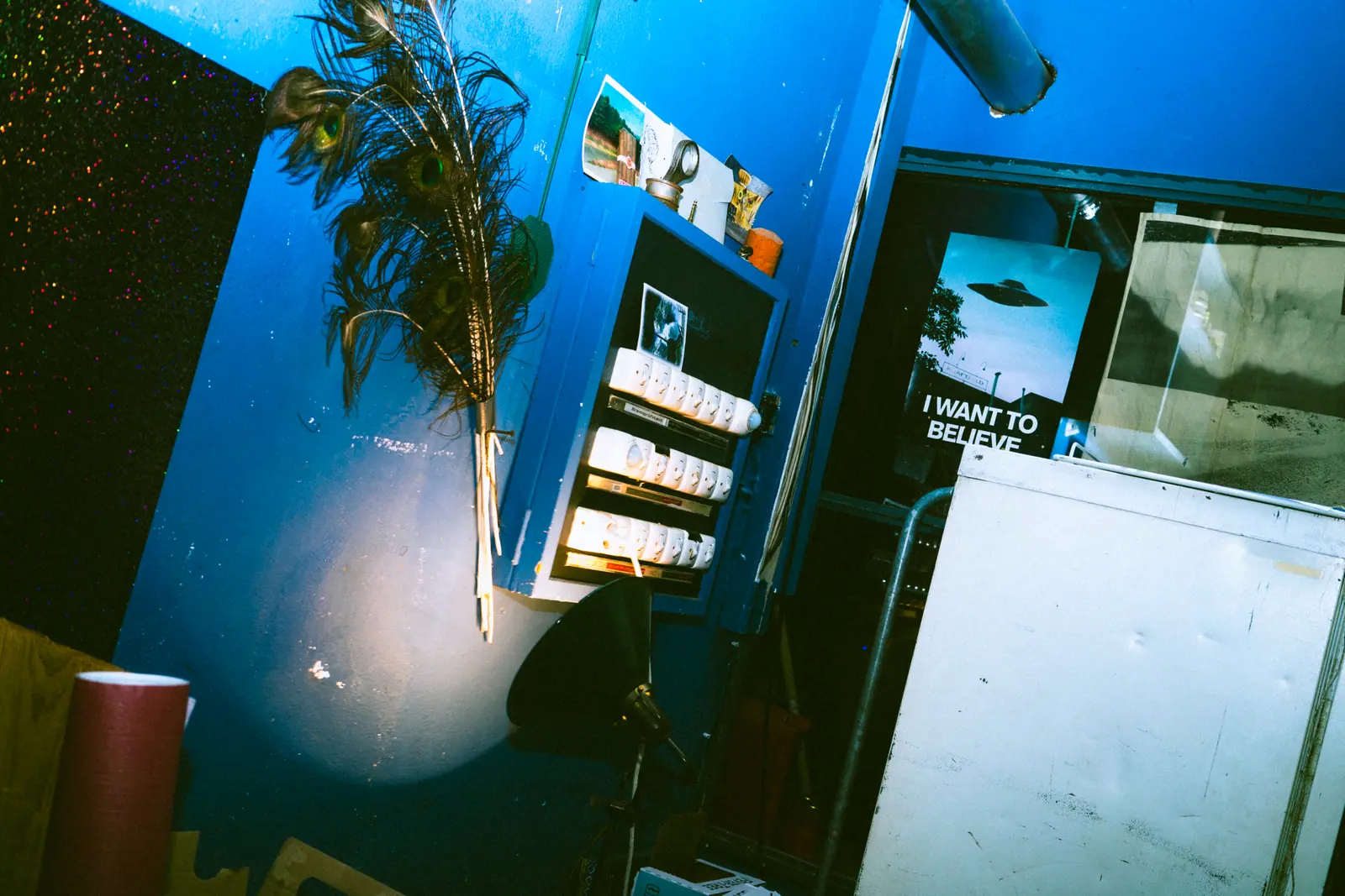 Brand photography Zürich — blue interior with plants and posters